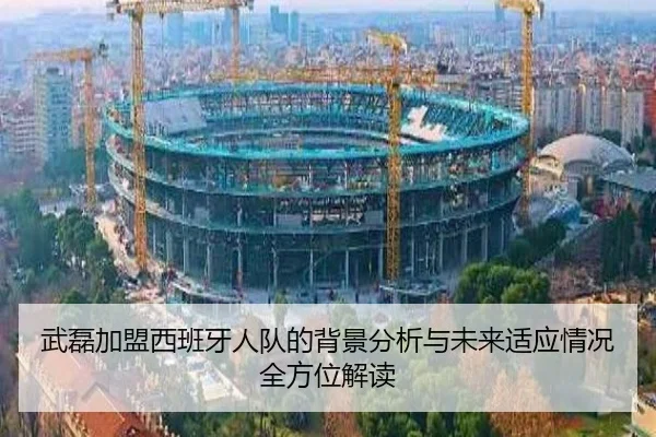 武磊加盟西班牙人队的背景分析与未来适应情况全方位解读